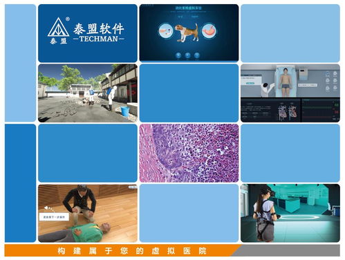 整合医学科研、教育软件开发与采购策略 供应商信息的关键角色